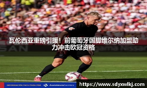 瓦伦西亚重磅引援！前葡萄牙国脚维尔纳加盟助力冲击欧冠资格