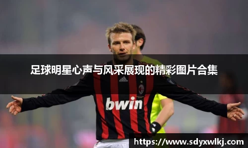 乐鱼体育