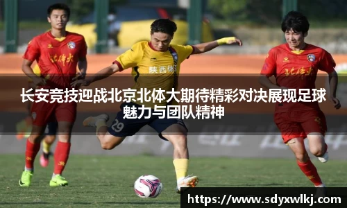 乐鱼leyu